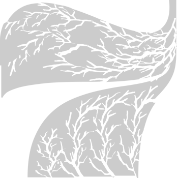 Number 7 vector