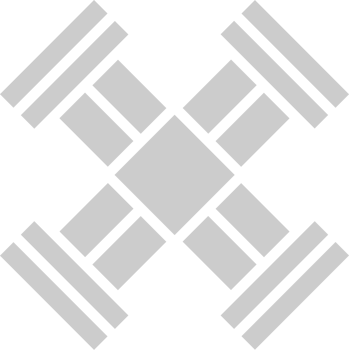 X  vector