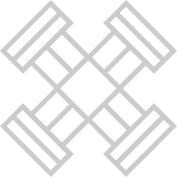 X  vector