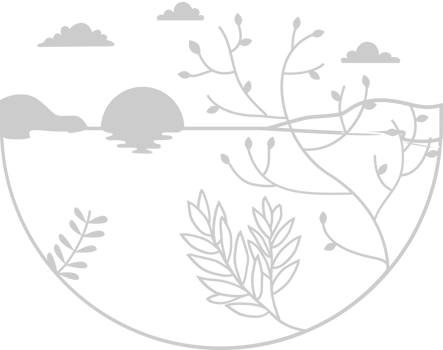 Sunset scenery vector