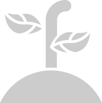 Farm wheat vector