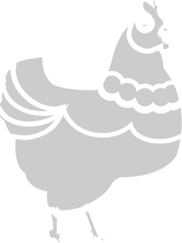 Farm animal chicken vector