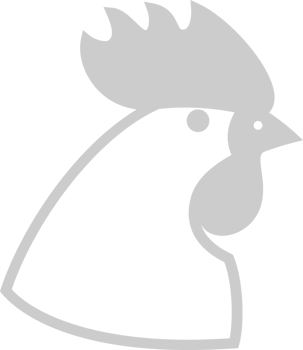 Farm animal chicken vector