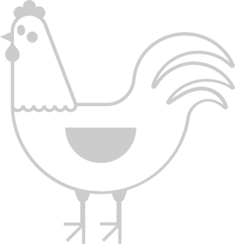 Farm animal chicken vector