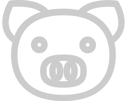 Farm animal pig vector