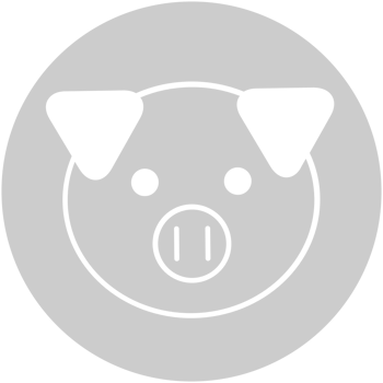 Farm animal pig vector