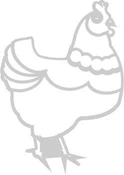 Farm animal chicken vector
