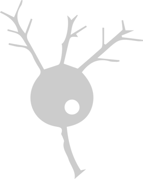 Neuron biology vector
