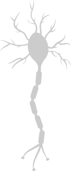 Neuron biology vector