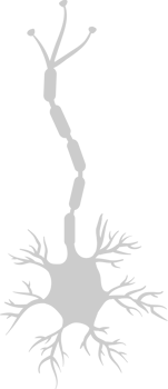 Neuron biology vector