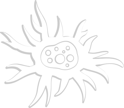 Neuron biology vector