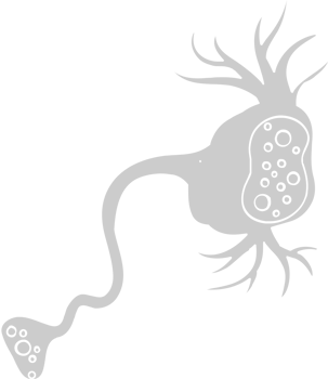 Neuron biology vector