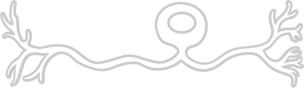 Neuron biology vector