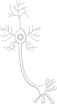 Neuron biology vector