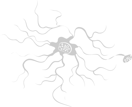 Neuron biology vector