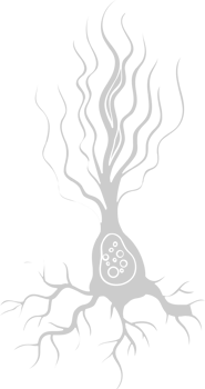 Neuron biology vector