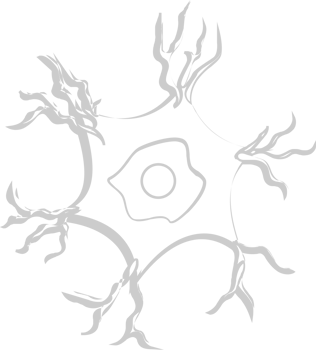Neuron biology vector