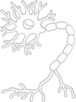 Neuron biology vector
