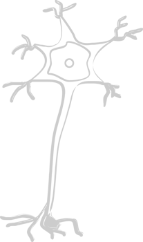 Neuron biology vector