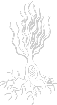 Neuron biology vector