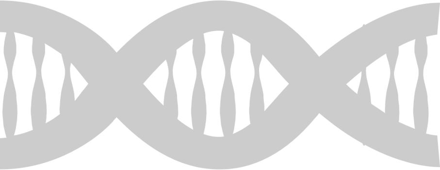 Biology DNA vector