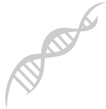 Biology DNA vector
