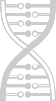 Biology DNA vector