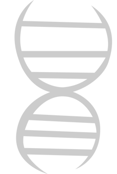 Biology DNA vector
