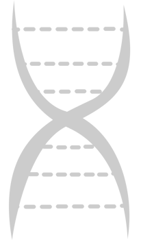 Biology DNA vector