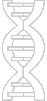Biology DNA vector