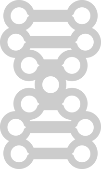 Biology DNA vector