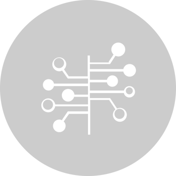 Biology DNA vector