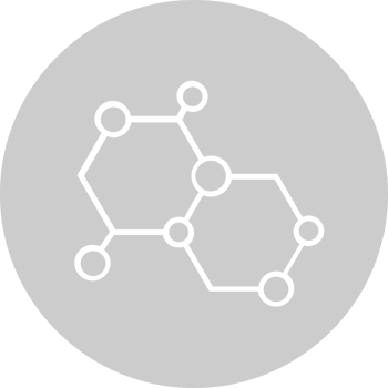 Biology DNA vector