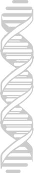 Biology DNA vector