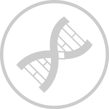 Biology DNA vector