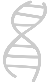 Biology DNA vector
