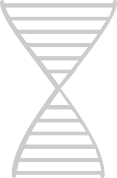 Biology DNA vector