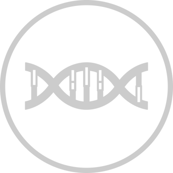 Biology DNA vector