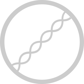 Biology DNA vector