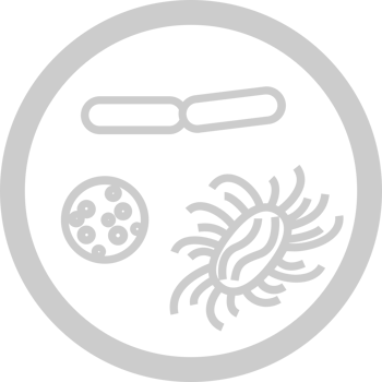 Biology germ vector