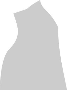 Stamp denied vector