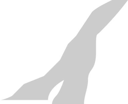 Stamp denied vector