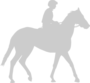Equestrian vector
