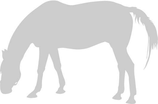 Equestrian vector
