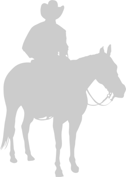 Equestrian vector