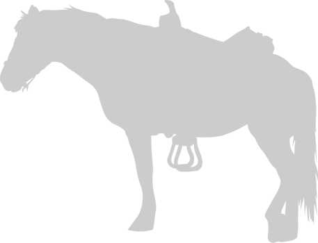Equestrian vector