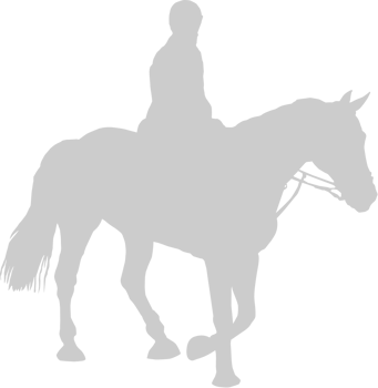Equestrian vector