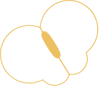 Butterfly vector