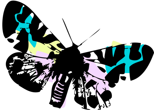 Butterfly vector