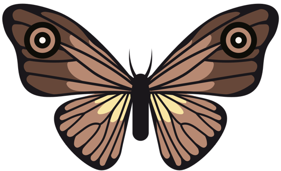 Butterfly vector